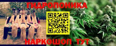 PSILOCYBIN Туймазы